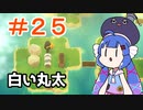 【A Monster's Expedition】リセットについて学んだ
