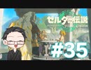 【実況プレイ】 ゼルダの伝説 ティアーズオブザキングダム part35 【いちご大福】