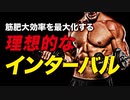【筋トレ】理想的なインターバル（レスト） | ボディビルチャンピオンが解説【ビーレジェンド プロテイン】