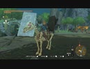 【ゼルダ ティアキン】絶対捕まえたい激レア＆謎の馬３選