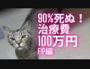 保護猫が突然FIPになり治療費用100万円と言われました