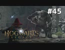 【ホグワーツレガシー】実況動画#45