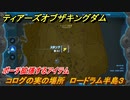ティアキン　コログの実の場所　ロードラム半島３　ポーチ拡張するアイテム　＃８５６　【ゼルダの伝説ティアーズオブザキングダム】