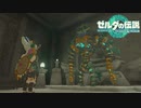 【ゼルダの伝説　ティアーズオブザキングダム】　冒険の記録　♯048　お姉ちゃんのお願い・Part3