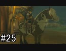【実況】空の島から始まる新たな冒険【ゼルダの伝説 ティアーズ オブ ザ キングダム】part25