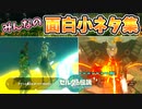 白龍プルア･ボコ拷問装置･イチカラ村のグリオークなど小ネタ集～みんなの動画畑～【ティアキン TotK】