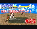 【夫婦で】幻想水滸伝さっくりプレイ#25【実況】