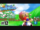 逆襲感は無かった【スーパーマリオサンシャイン】#12