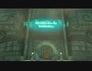 (ティアキン) ゼルダを探す旅part24  南ローメイの予言 【ゼルダの伝説ティーアズオブザキングダム The Legend of Zelda Tears of the Kingdom 】