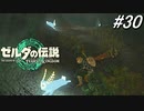 【ティアキン】ここは楽園か⁉【ゼルダの伝説 ティアーズ オブ キングダム】実況プレイ part30