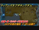 ティアキン　コログの実の場所　ド・ボン山脈７　武器・盾・弓のポーチ拡張方法　＃８７５　【ゼルダの伝説ティアーズオブザキングダム】