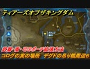 ティアキン　コログの実の場所　デグドの吊り橋周辺６　武器・盾・弓のポーチ拡張方法　＃８９４　【ゼルダの伝説ティアーズオブザキングダム】