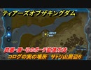 ティアキン　コログの実の場所　サトリ山周辺６　武器・盾・弓のポーチ拡張方法　＃９０７　【ゼルダの伝説ティアーズオブザキングダム】
