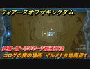 ティアキン　コログの実の場所　イルメナ台地周辺１　武器・盾・弓のポーチ拡張方法　＃９１０　【ゼルダの伝説ティアーズオブザキングダム】