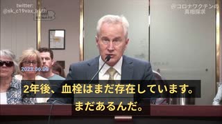 ピーター・マッカロー博士証言：ワクチンで形成された血栓はこれまでに見た中一番大きい。２年も残ることが証明され！