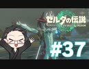【実況プレイ】 ゼルダの伝説 ティアーズオブザキングダム part37 【いちご大福】