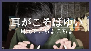 こちょこちょASMR｜耳元で３０分しっかりかちょこちょ囁くリラックス動画です｜Okano ASMR