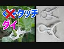 【家庭菜園に必須】くきタッチが高いのでダイソーの洗濯バサミで代用してみた結果