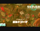[ゼルダの伝説TotK　#35 ] 　調子乗ってすいませんでした～