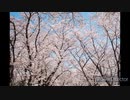 Let　feat.重音テトsv