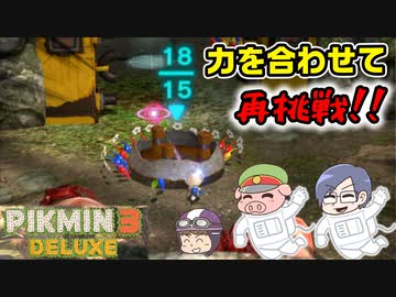 ピクミン3デラックス　＃46