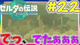 神殿が出てきたぁぁ!!!#22【ゼルダの伝説ティアーズオブザキングダム】