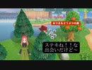 【あつまれどうぶつの森】第171幕　素敵だけどハズレの出会い……意味がわかりますか？