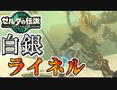 【ゼルダの伝説TOTK】道中で鉢合わせた最強のライネルとの死闘【ティアキン】#35