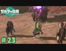 見た目は怖いが中身はいいやつ　「ゼルダの伝説～ティアーズ・オブ・ザ・キングダム」　＃23