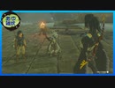 【ゼルダの伝説 ティアーズ オブ ザ キングダム】空と地底と大地と呪われし右腕。 #20【実況】