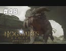 【ホグワーツレガシー】実況動画#48