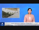 中国の異常気象 食糧産地に被害拡大