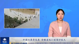 中国の異常気象 食糧産地に被害拡大