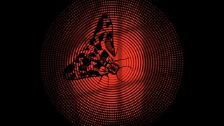 【はつとうこう・おりじなる】かくれんぼ / はつねミク と めいめいひまり