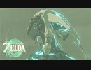 【ゼルダの伝説 ティアーズオブザキングダム】＃4　おかげさまで、やっと大地に降りられました