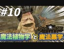 マンドレイクの泣き声の前に見た目で笑い死ぬ！！！ｗ【ホグワーツ・レガシー】#10