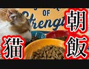 【猫の朝ごはん】お揃いの食器!!【AWESOME STORE】