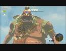 【ゼルダの伝説 ティアーズ オブ ザ キングダム】再びハイラルを救うまで【実況】 part22