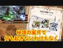 秘境が綺麗ですね【MHSB百狩行脚2023】【モンスターハンターライズサンブレイク】