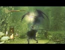 ドラゴンスレイヤーになりたかった。【ダークソウルリマスタード】part21