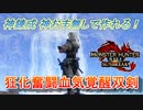 【MHRise：SB】部位破壊が狙える相手には強い！狂化奮闘血気覚醒双剣【VOICEROID実況】