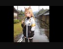 【NNIオリジナル】Noraneko