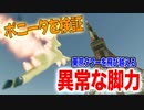 ポニータのジャンプ力、バグってて草ああああwww