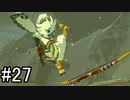 【実況】空の島から始まる新たな冒険【ゼルダの伝説 ティアーズ オブ ザ キングダム】part27