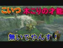 謎解きに弱すぎる男の抗い 名作謎解きゲーをIQ3がゆく[ゼルダの伝説BotW]実況プレイ4