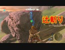 謎解きに弱すぎる男の抗い 名作謎解きゲーをIQ3がゆく[ゼルダの伝説BotW]実況プレイ6