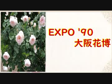 EXPO '90 大阪花博