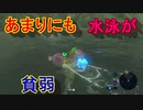 謎解きに弱すぎる男の抗い 名作謎解きゲーをIQ3がゆく[ゼルダの伝説BotW]実況プレイ8