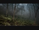 黒い箱 black box 【フリーBGM】