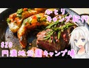 ひとりキャンプ紀行#20 「大自然の中で過去一のキャンプ飯を」【Cevio車載】【円満地公園オートキャンプ場】
